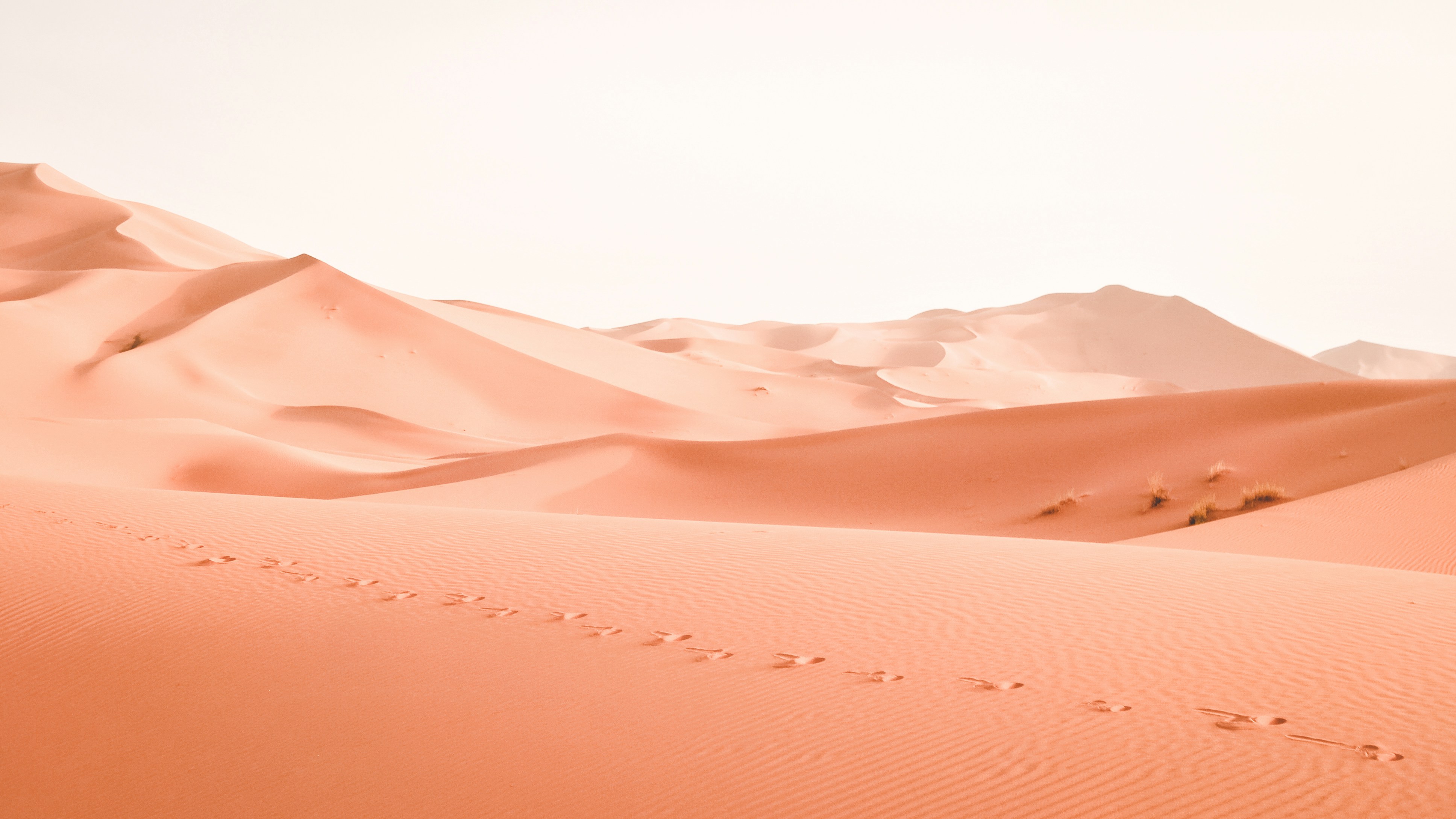 Karakum Desert