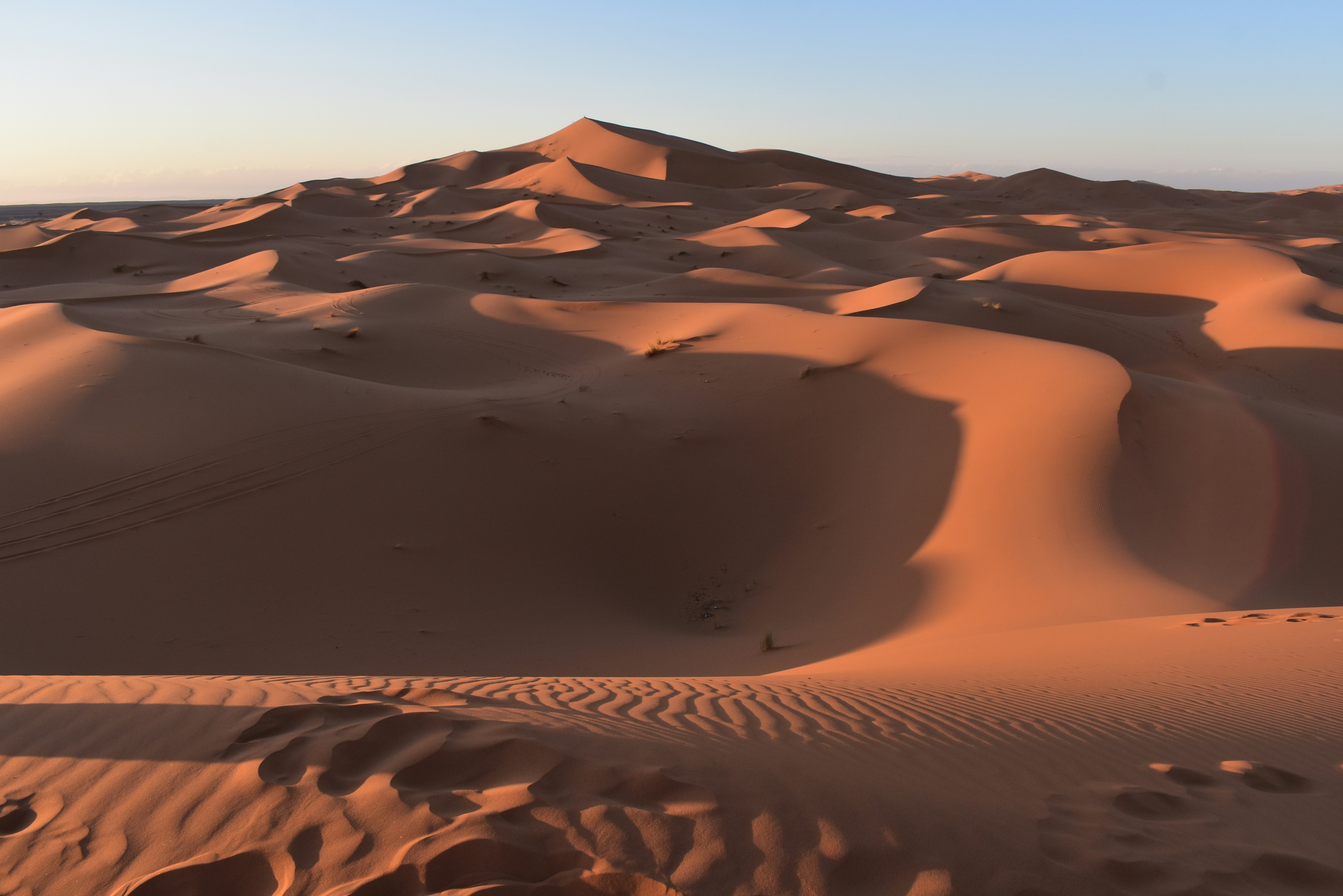Sahara Desert