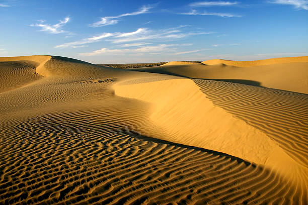 Thar Desert